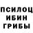 Галлюциногенные грибы ЛСД Petia Ludchak