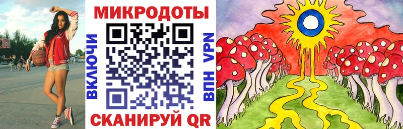 Галлюциногенные грибы Psilocybine cubensis  Купить  Усть-Кут 