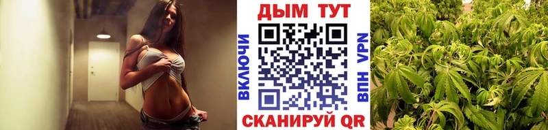 Купить закладки Усть-Кут Каннабис индика